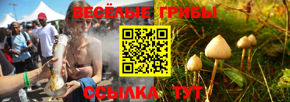 что такое наркотик  Вход с VPN  Лангепас  Галлюциногенные грибы GOLDEN TEACHER 